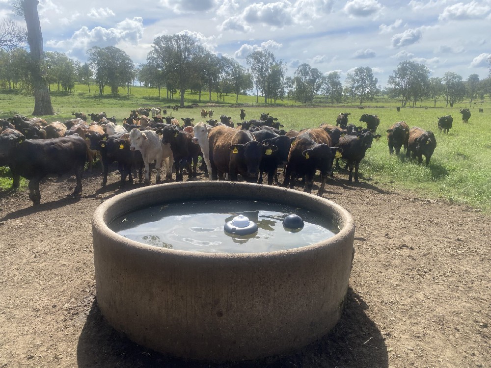 Businesses are increasingly adopting hybrid.